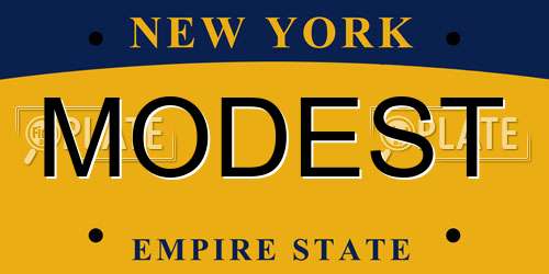 MODEST New York License Plate