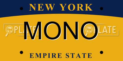 MONO New York License Plate