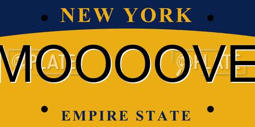 MOOOOVE New York License Plate