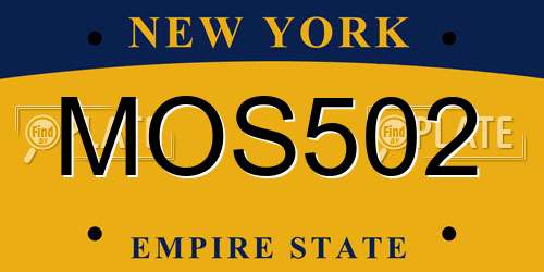 MOS502 New York License Plate