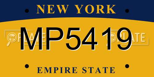 MP5419 New York License Plate