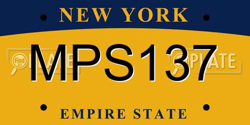 MPS137 New York License Plate