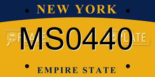 MS0440 New York License Plate