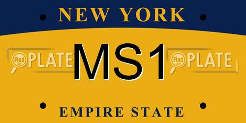 MS1 New York License Plate