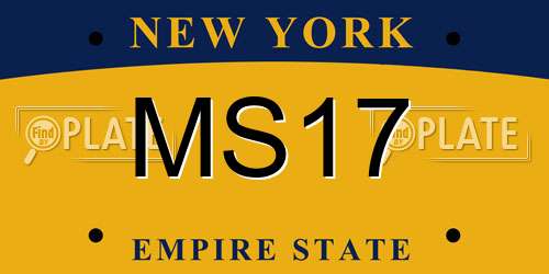 MS17 New York License Plate