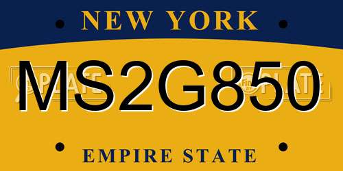 MS2G850 New York License Plate