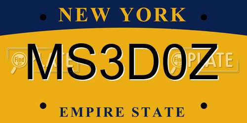 MS3D0Z New York License Plate