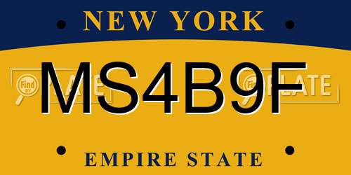 MS4B9F New York License Plate