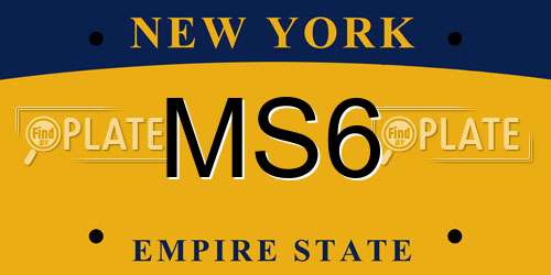 MS6 New York License Plate