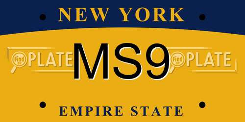 MS9 New York License Plate