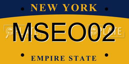 MSEO02 New York License Plate