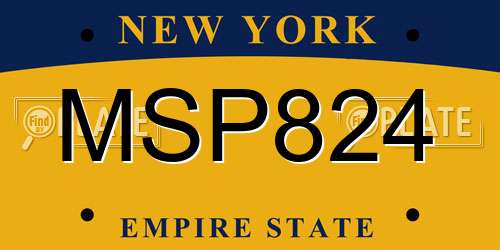 MSP824 New York License Plate