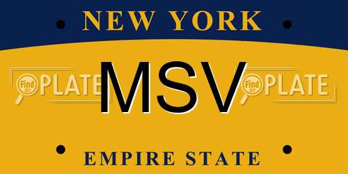 MSV New York License Plate