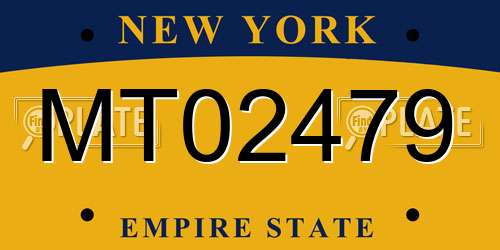 MT02479 New York License Plate
