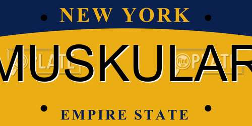 MUSKULAR New York License Plate