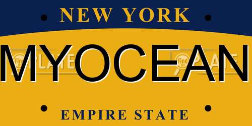 MYOCEAN New York License Plate