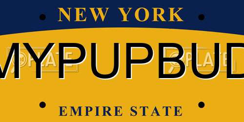 MYPUPBUD New York License Plate
