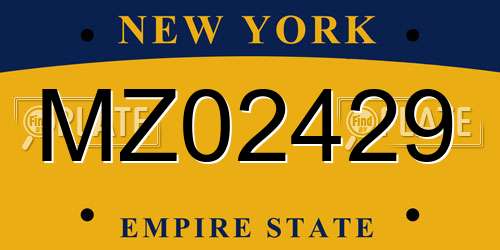 MZ02429 New York License Plate