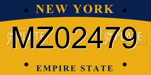 MZ02479 New York License Plate