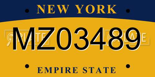 MZ03489 New York License Plate