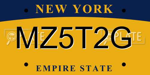 MZ5T2G New York License Plate