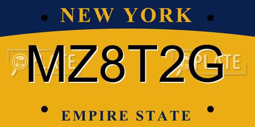 MZ8T2G New York License Plate