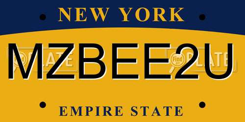 MZBEE2U New York License Plate