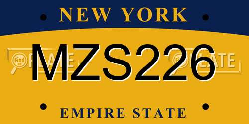 MZS226 New York License Plate