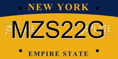 MZS22G New York License Plate