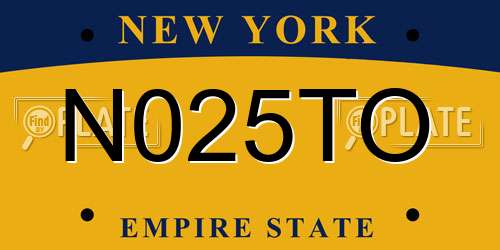 N025TO New York License Plate