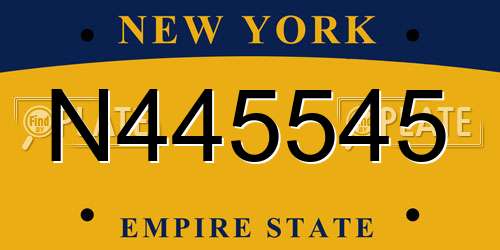 N445545 New York License Plate