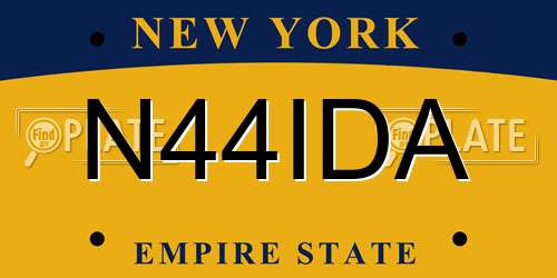 N44IDA New York License Plate