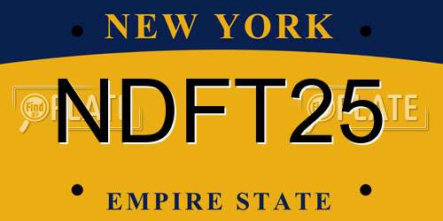 NDFT25 New York License Plate