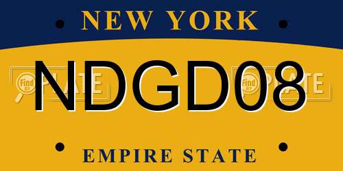 NDGD08 New York License Plate