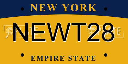 NEWT28 New York License Plate