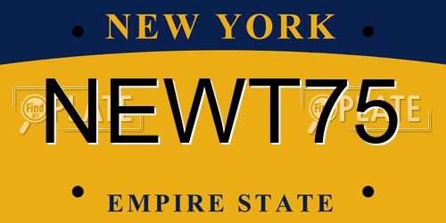NEWT75 New York License Plate