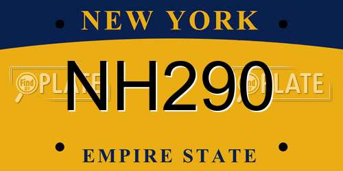 NH290 New York License Plate