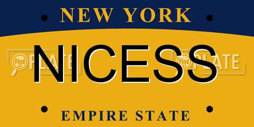 NICESS New York License Plate