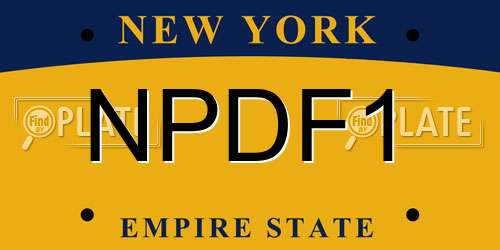 NPDF1 New York License Plate