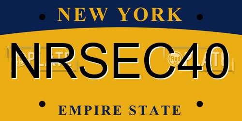 NRSEC40 New York License Plate