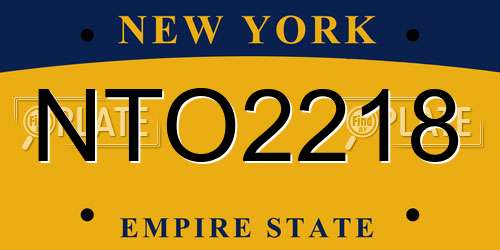 NTO2218 New York License Plate