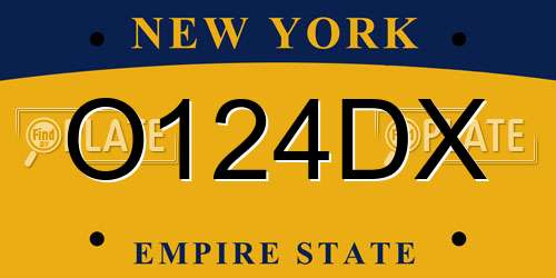 O124DX New York License Plate