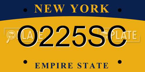 O225SC New York License Plate