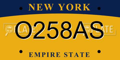 O258AS New York License Plate
