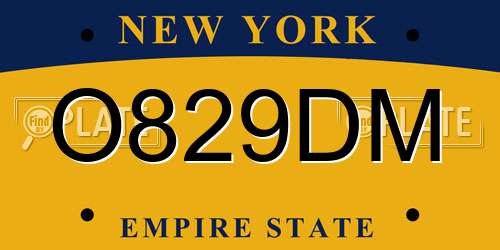O829DM New York License Plate