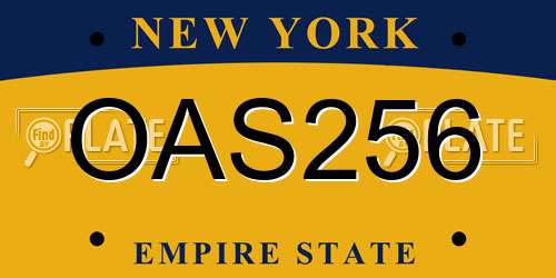OAS256 New York License Plate