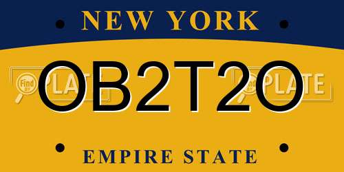 OB2T2O New York License Plate