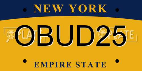 OBUD25 New York License Plate