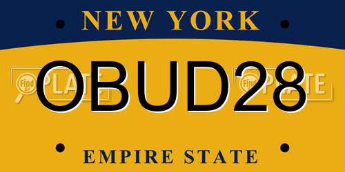 OBUD28 New York License Plate