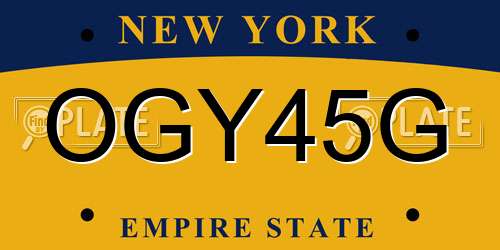 OGY45G New York License Plate